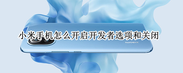 小米手机怎么开启开发者选项和关闭