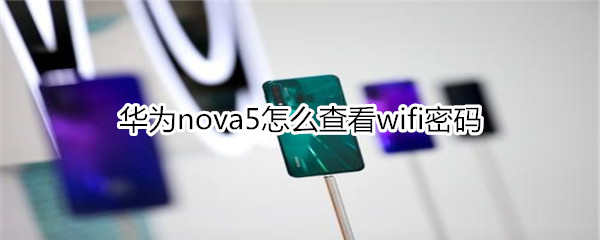 华为nova5怎么查看WiFi密码