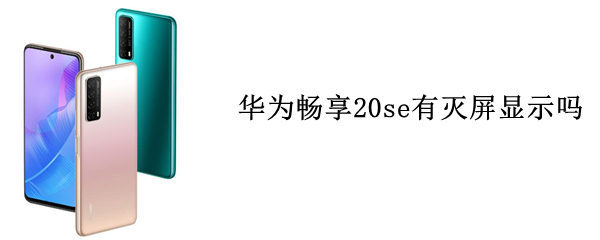 华为畅享20se有灭屏显示吗