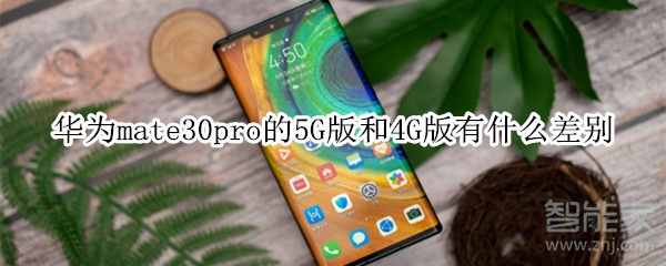 华为mate30pro的5G版和4G版有什么差别