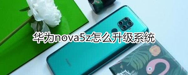 华为nova5z怎么升级系统