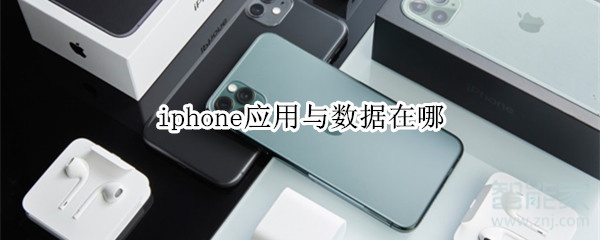 iphone应用与数据在哪