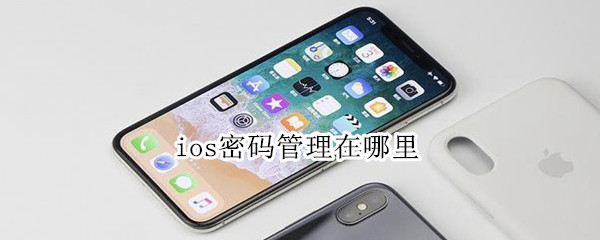 ios密码管理在哪里