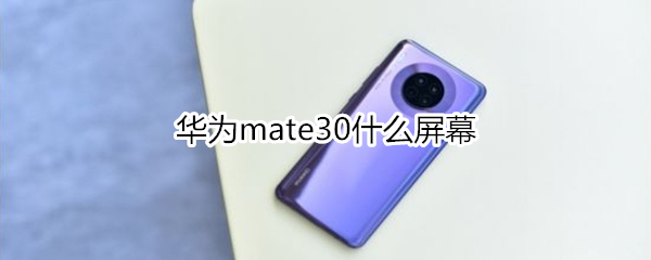 华为mate30什么屏幕