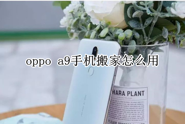 oppo a9手机搬家怎么用