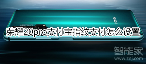 荣耀20pro支付宝指纹支付怎么设置