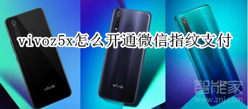 vivoz5x怎么开通微信指纹支付