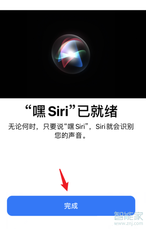 苹果11siri怎么设置只能自己唤醒