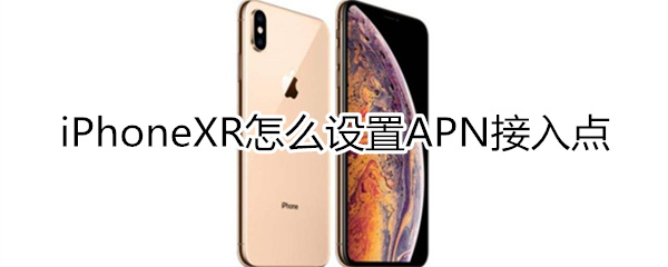 iphonexr设置apn