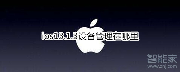 ios13.1.3设备管理在哪里