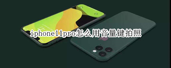 iphone11pro怎么用音量键拍照