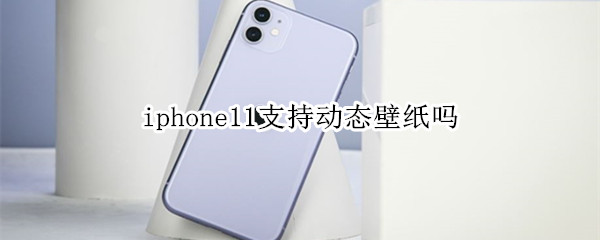 iphone11支持动态壁纸吗