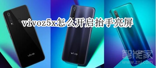 vivoz5x怎么开启抬手亮屏