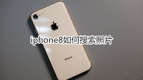 iphone8如何搜索照片