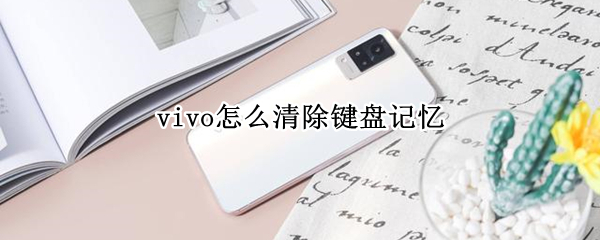 vivo怎么清除键盘记忆