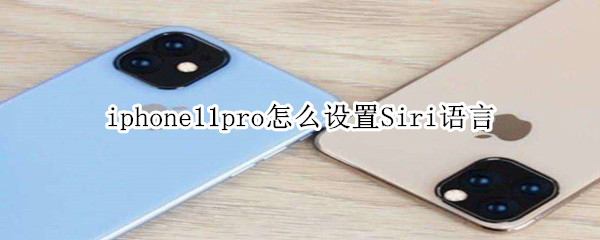 iphone11pro怎么设置Siri语言