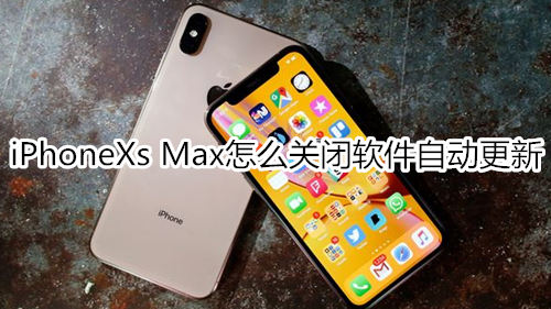 iPhoneXs Max怎么关闭软件自动更新