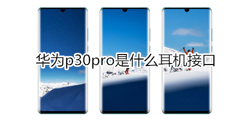 华为p30pro是什么耳机接口