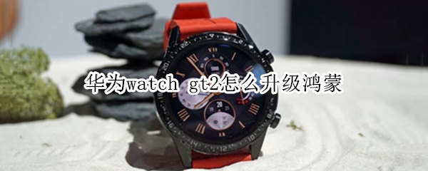 华为watch gt2怎么升级鸿蒙