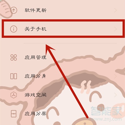 opporeno4se怎么看运行内存