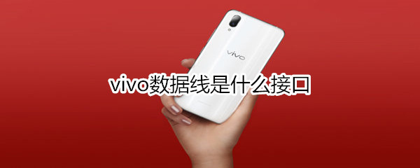 vivo数据线是什么接口