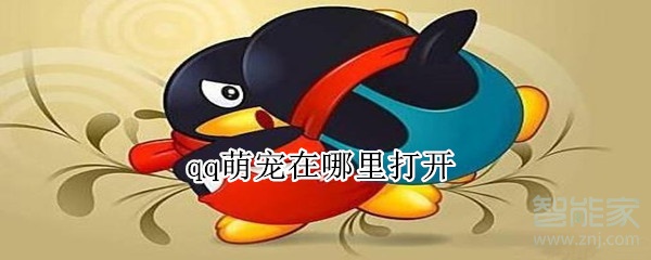 qq萌宠在哪里打开