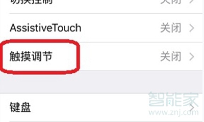 苹果x触屏校准在哪里