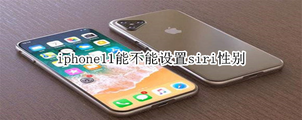 iphone11能不能设置siri性别