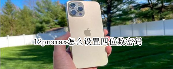 12promax怎么设置四位数密码