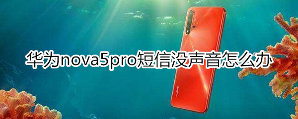 华为nova5pro短信没声音怎么办