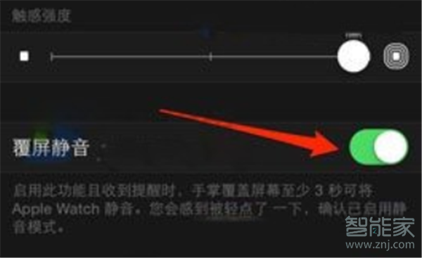 Apple Watch Series 5怎么在手机上取消静音