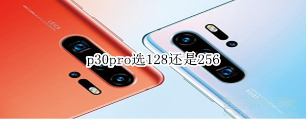 p30pro选128还是256