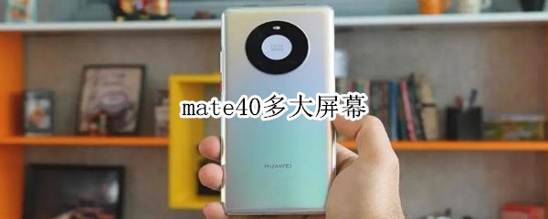 mate40多大屏幕