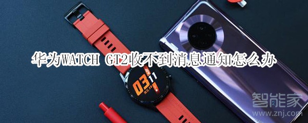 华为WATCH GT2收不到消息通知怎么办