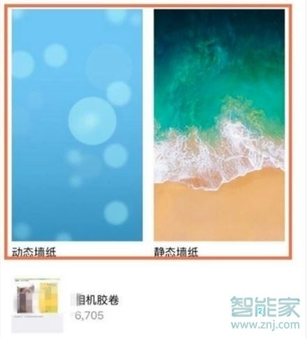 iphone11可以设置动态壁纸么