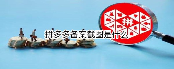 拼多多备案截图是什么