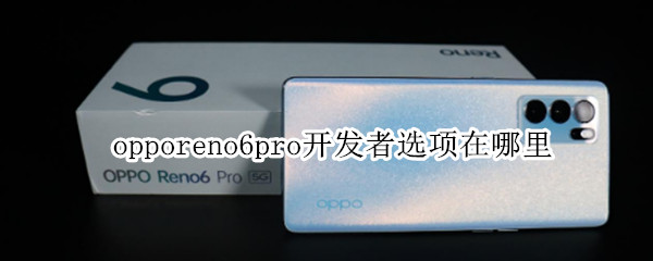 opporeno6pro开发者选项在哪里