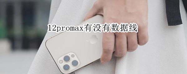 12promax有没有数据线