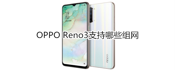 OPPO Reno3支持哪些组网