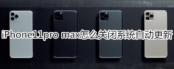 iPhone11pro max怎么关闭系统自动更新