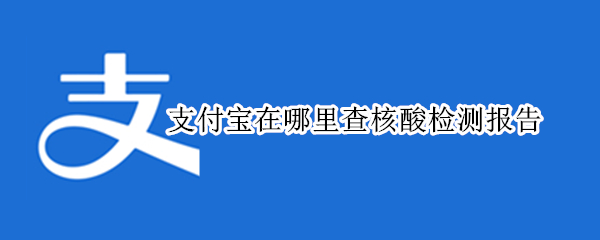 支付宝在哪里查核酸检测报告