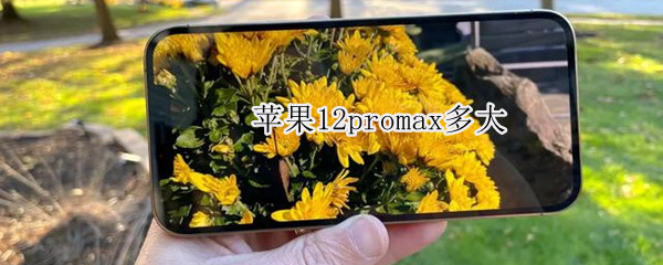 苹果12promax多大