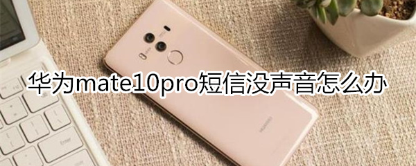 华为mate10pro短信没声音怎么办