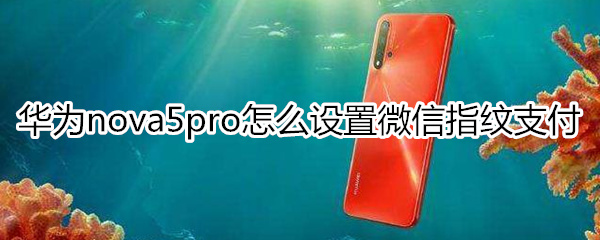 华为nova5pro怎么设置微信指纹支付