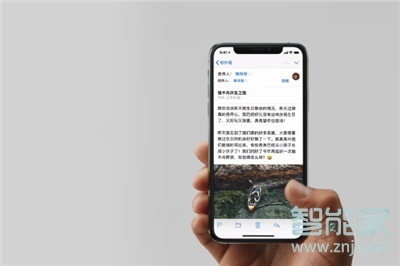 iphone11怎么打开后台程序