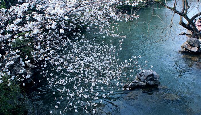 宋代文学家欧阳修的号是什么 欧阳修的代表作及简介