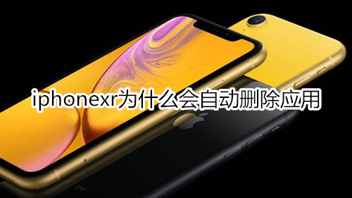 iphonexr为什么会自动删除应用