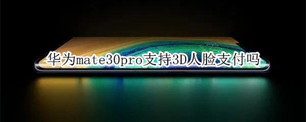 华为mate30pro支持3D人脸支付吗