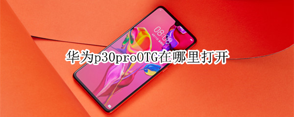 华为p30proOTG在哪里打开