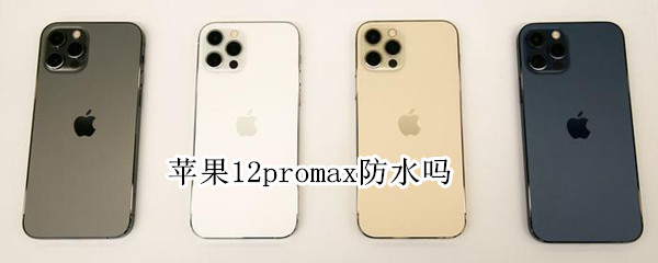 苹果12promax防水吗